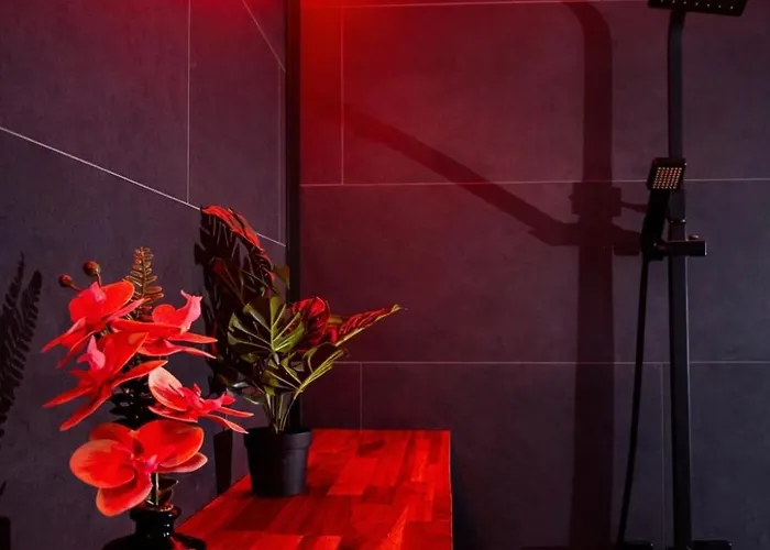 Appartamento L'envers - Romantique Centre Metz